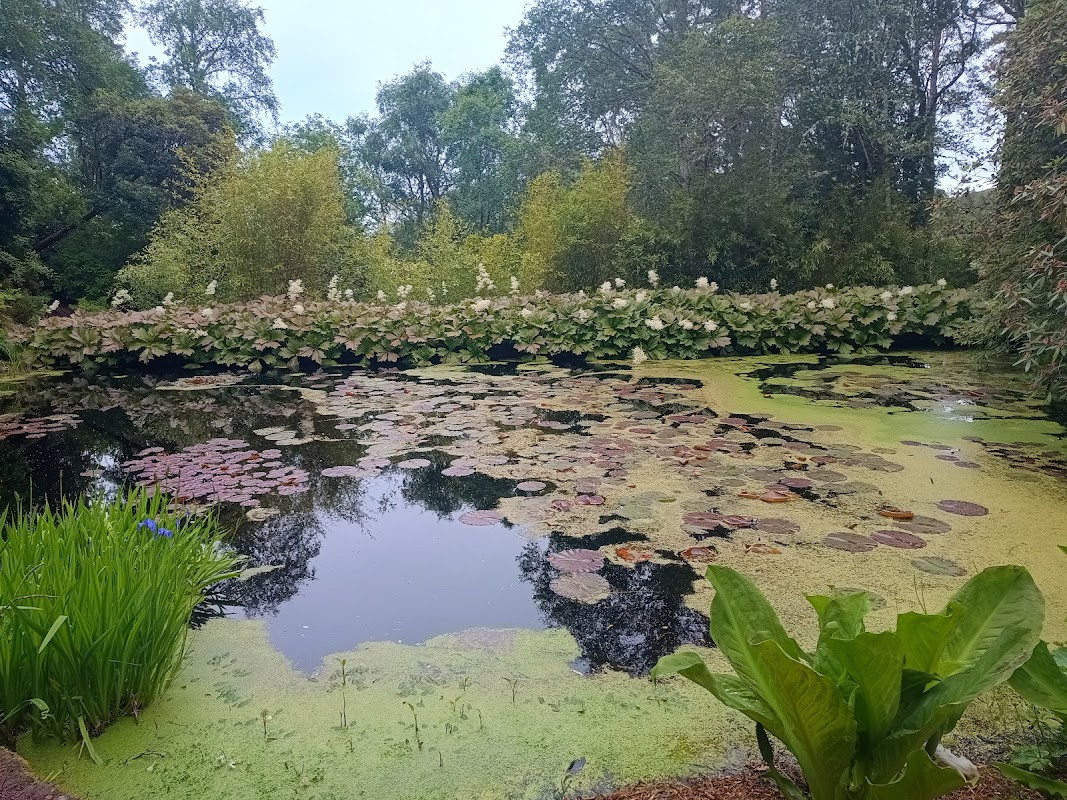 Inverewe Garden