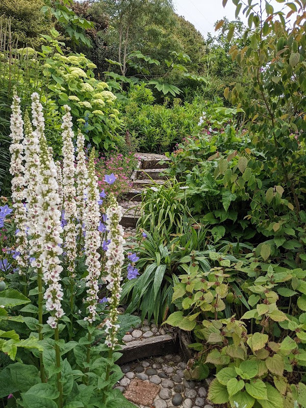 Lip na Cloiche Garden