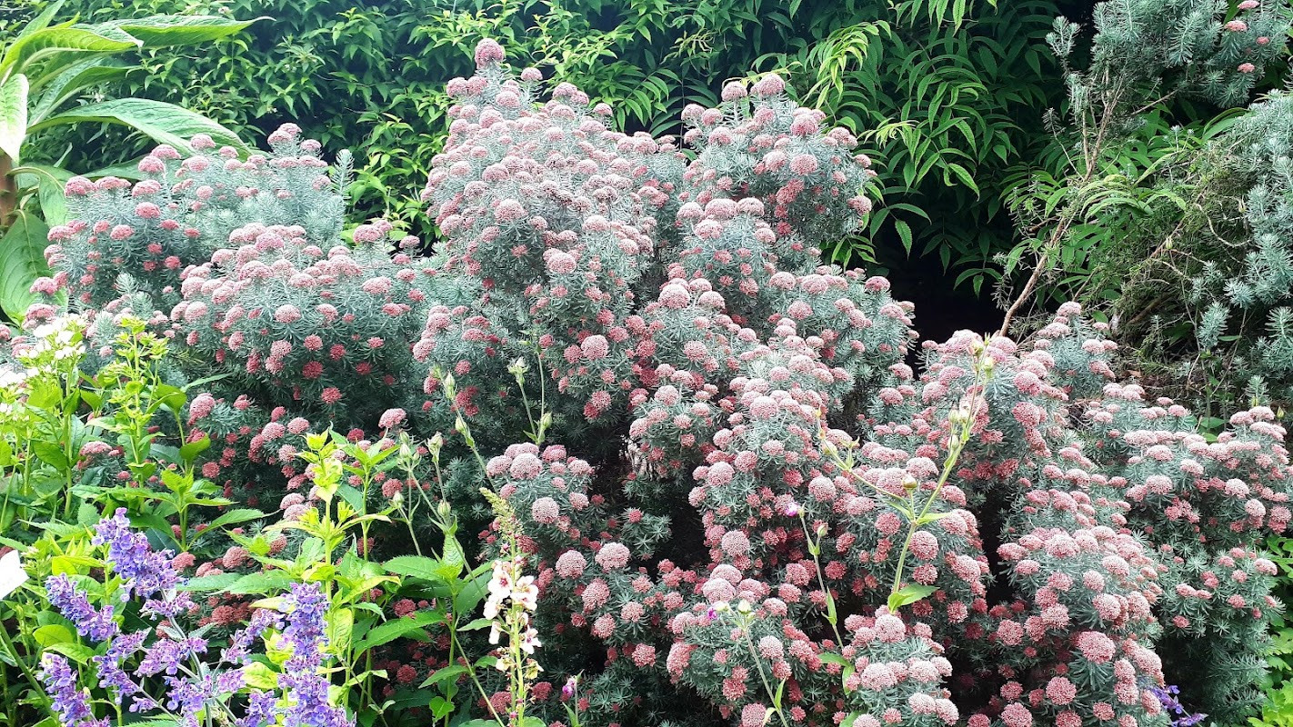 Lip na Cloiche Garden
