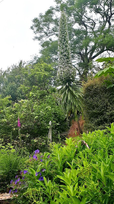 Lip na Cloiche Garden