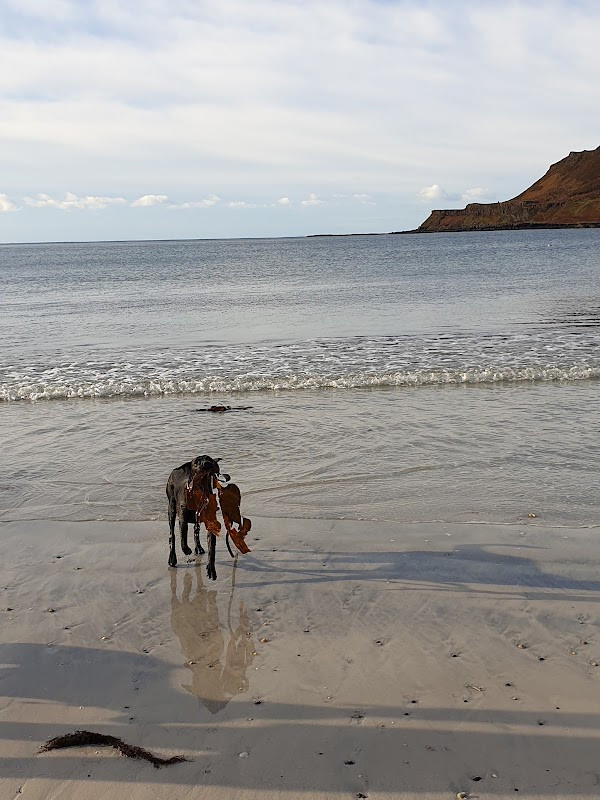 Calgary Bay