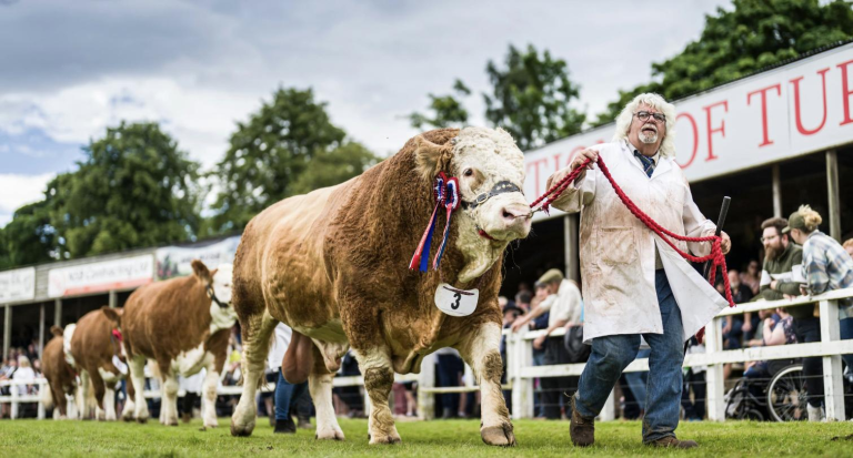 Turriff Show