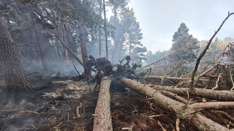 Glenmore could reopen on Friday, fire service says